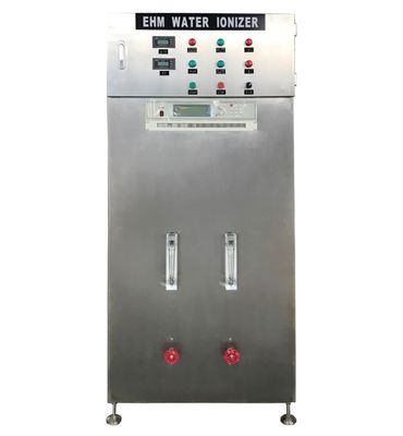 Ionisateur d'eau industriel 1000L/h en acier inoxydable acide alcalin